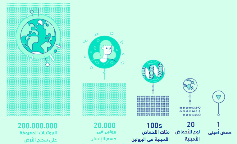 الذكاء الاصطناعي يحل تحديا بيولوجيا