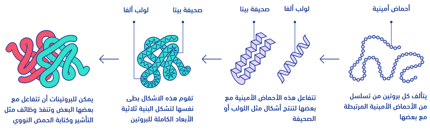 الذكاء الاصطناعي يحل تحديا بيولوجيا