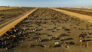 إبطاء الاحترار عبر سحب الميثان من الجو